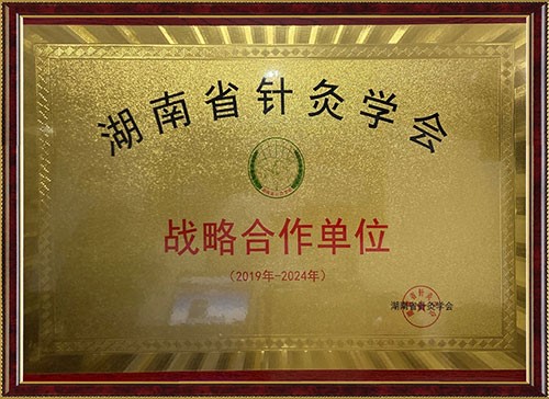 湖南省针灸学会战功略合作单位